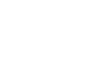 AFS-USA Logo